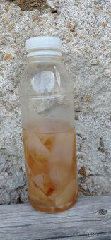 KOMBUCHA - čajová houba vč. nálevu - viz text