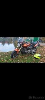 Hornet