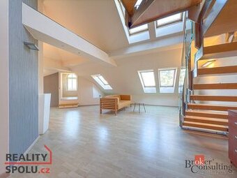 Prodej, byty/6 a více, 240 m2, Zacpalova 333/29, Předměstí, - 1