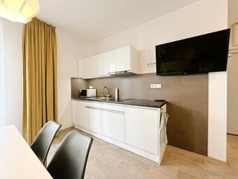 Pronájem bytu 1+kk 46 m² Kobližná, Brno - Brno-město