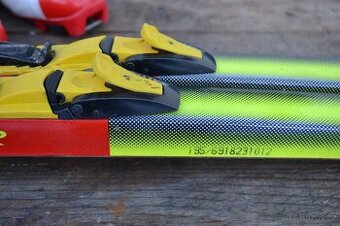 běžky Fisher RS 195 cm boty SNS Adidas  EU 42 vč holí