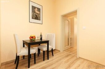 Pronájem bytu 1+1 40 m² Máchova, Praha - Vinohrady