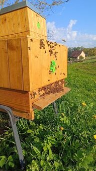 Prodám včelí úly