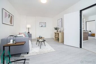 Pronájem bytu 2+1, Střekov, Ústí nad Labem, ev.č. 01072