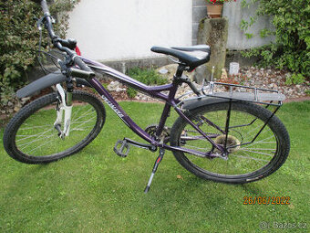 kolo specialized