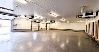 Pronájem, komerční prostor 4500 m2, Černožice nad Labem, Krá