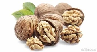 Nové Vlašské Ořechy