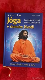Systém Jóga