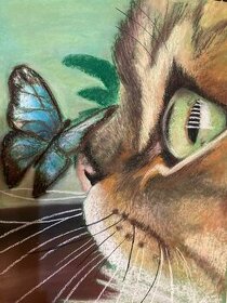obrázek kočička s motýlem