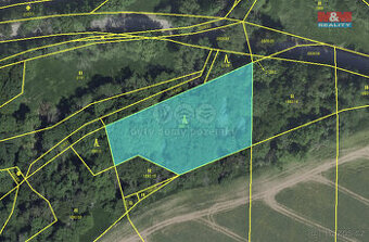 Prodej lesa, 5084 m², Petroupim