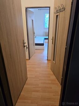 Pronajem garsoniéry v Aši