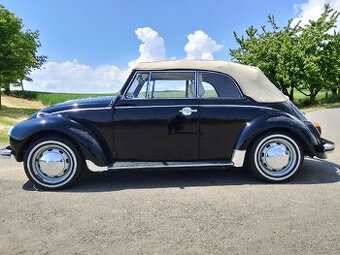 VW brouk Cabrio 1302