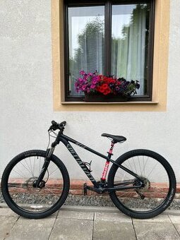 Specialized Rockhopper Sport 29 M