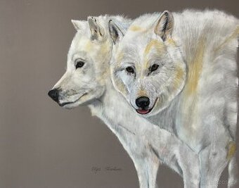 Obraz Strážci Arktiky, pastel