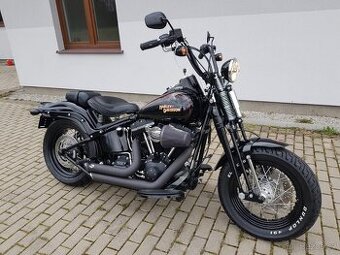 Harley Davidson Cross Bones
