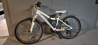 Dětské kolo Superior Paint 24