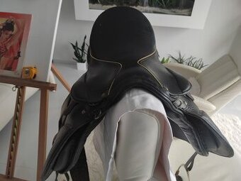 Koně, sedlo na koně