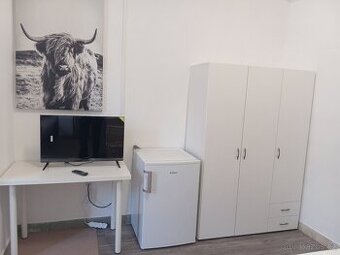 Pronajmu 1+kk kompletně zařízený 34m2 v širším centru