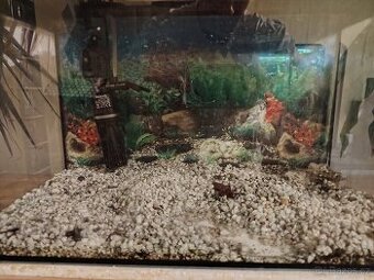 Akvárium diversa 30 l