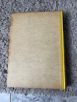 Kniha:MISTŘI EVROPSKÉHO MALÍŘSTVÍ.