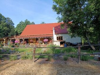 prodej usedlosti v Guntramovicích