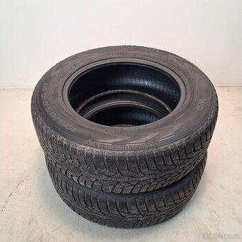 Zimní pneu Nokian 195/65 R15 91T - 2 ks