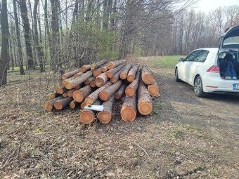 Modřinová kulatina