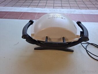 Gril Weber Q100
