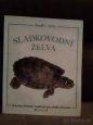 sladkovodní želva - 1