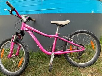Specialized Hotrock