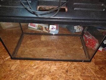 Akvarium s vybyvením