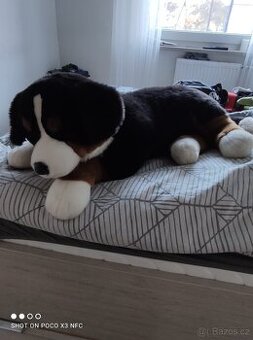 velký plyšový pes bernský salasnicky + tentýž plyšák štěně