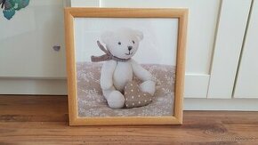 Obraz medvídek