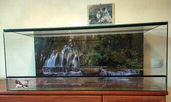LTerárium 80x40x40 .Polyuretanové pozadi. Vhodné pro agamy,