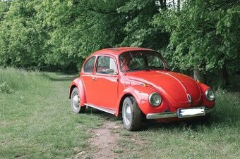 Volkswagen Brouk 1973 - 1