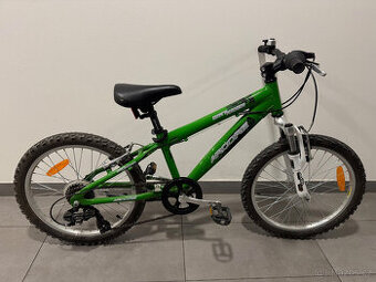 Arcore DIRT RIDER 20