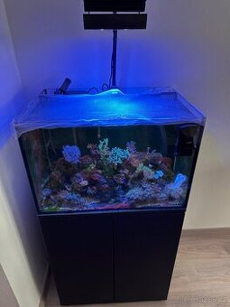 Mořské akvárium 100L
