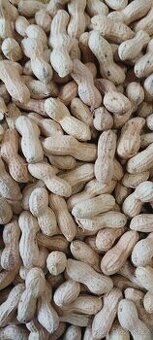 Arašídy celé nesolené, nepražené 5 kg.
