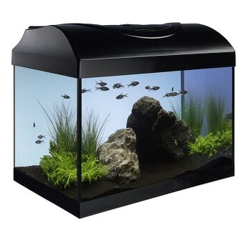 Prodám akvárium (25l) + vybavení (vč.rybek)