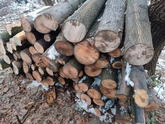 Tvrdé palivové dřevo