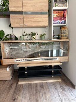 Terarium 150cm s vybavením