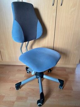 Dětská Rostoucí Židle Mayer Actikid 2428 A2 42 Super Stav