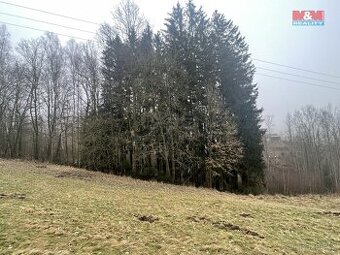Prodej, les, 33054 m2, Košťálov - 1