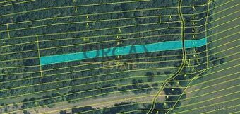 0,5 ha lesních pozemků v k. ú. Hradčovice