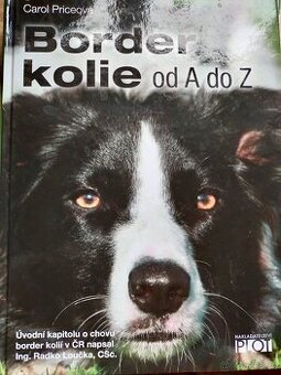 Border kolie od A do Z