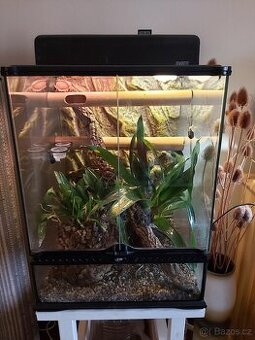 Terarium Exo terra