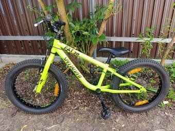 Specialized FAT 20