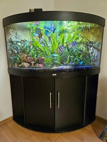 Rohové akvárium Juwel Trigon 350 - 1