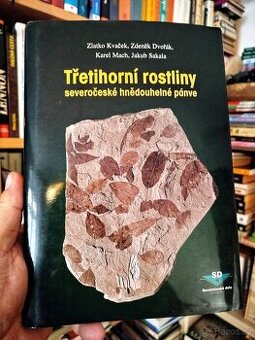 TŘETIHORNÍ ROSTLINY SEVEROČESKÉ HNĚDOUHELNÉ PÁNVE (nejlevněj