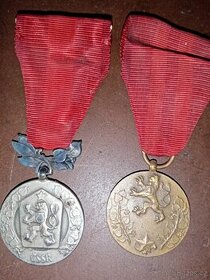 Medaile za zásluhy a za službu vlasti